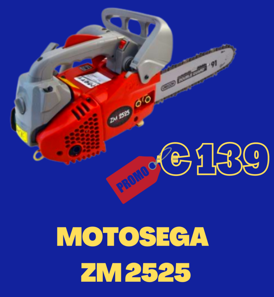 MOTOSEGA ZM2525